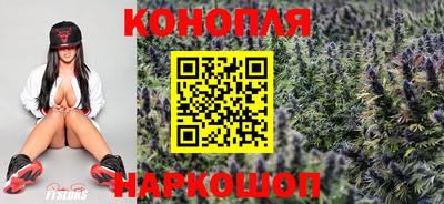 кокс Обь