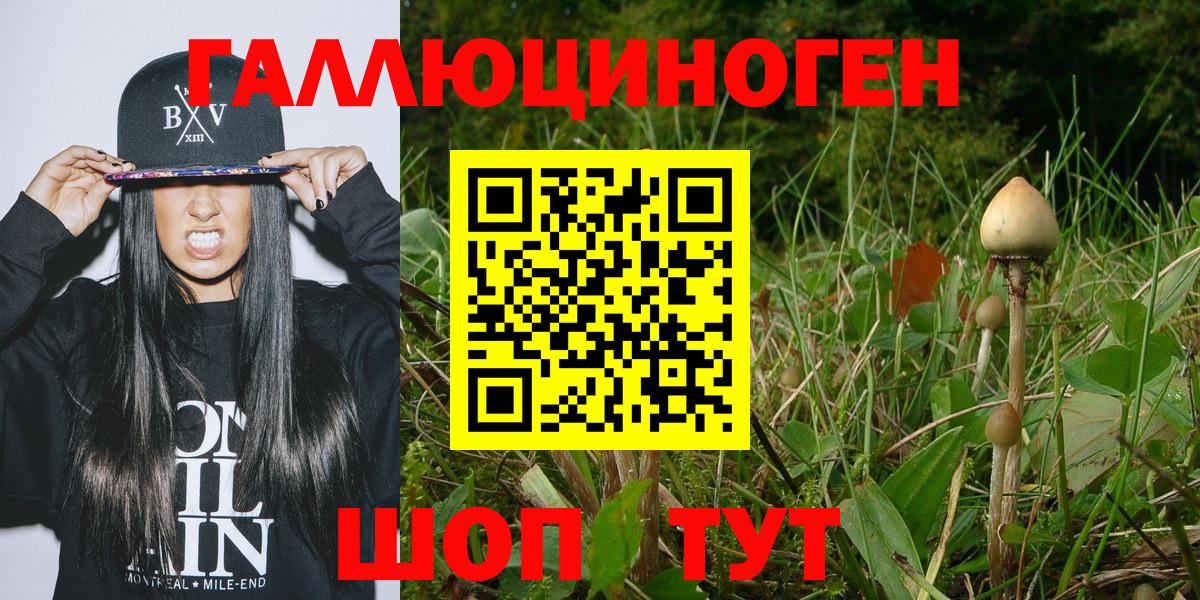 Среднеуральск  Галлюциногенные грибы MAGIC MUSHROOMS  Вход с VPN 